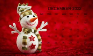 Cute December 2022 Calendar Printable
