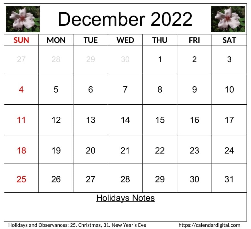 December Calendar 2022 With Holidays