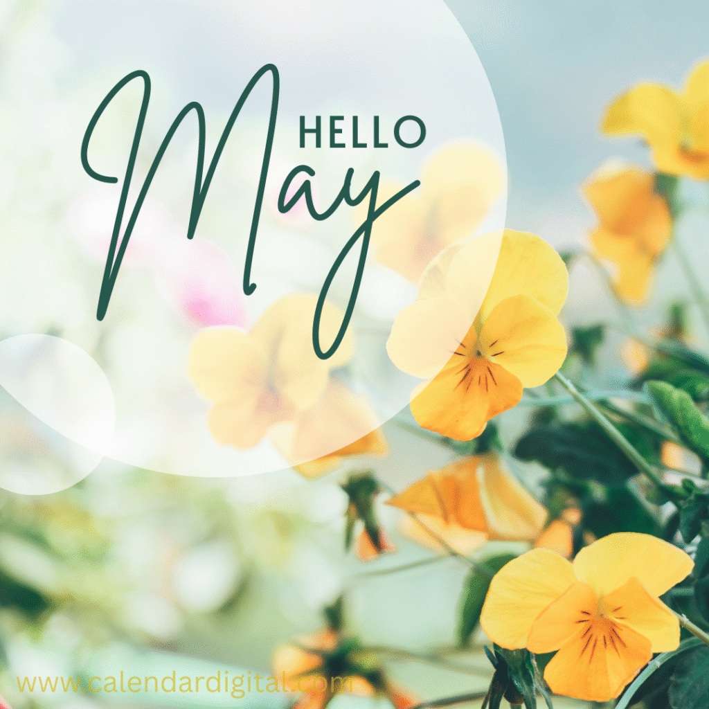 Hello May Month: Meaning, Weather, Zodiac Signs & Everything You Need to Know 4 Hello May Green background and Cute Yellow Flower