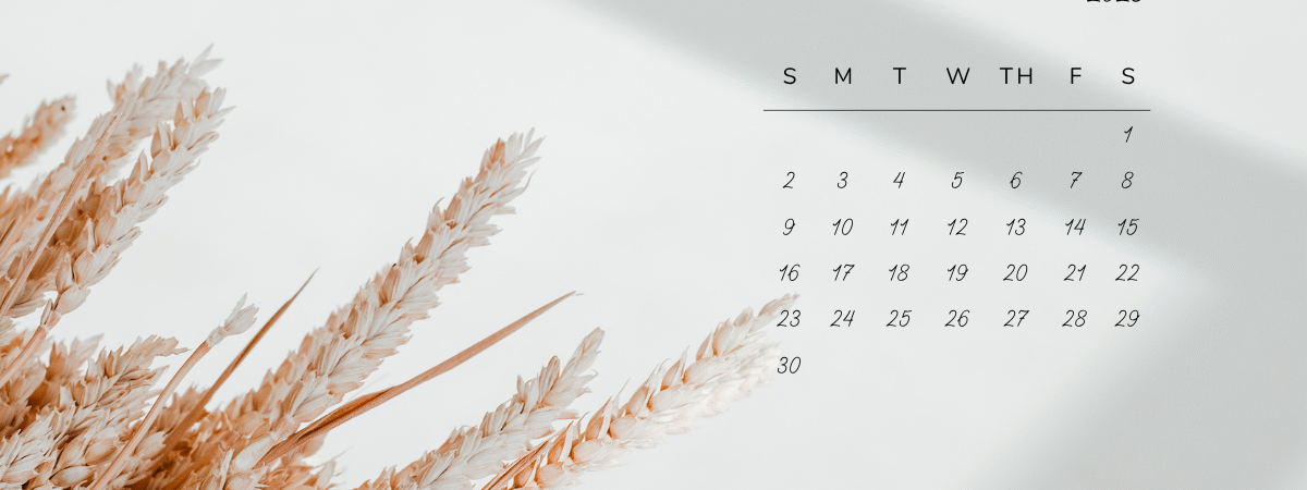 November 2025 Printable Calendar Free Download